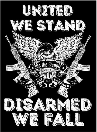 NEW!! UNITED WE STAND DISARMED WE FALL - AMERICAN MADE T-SHIRT